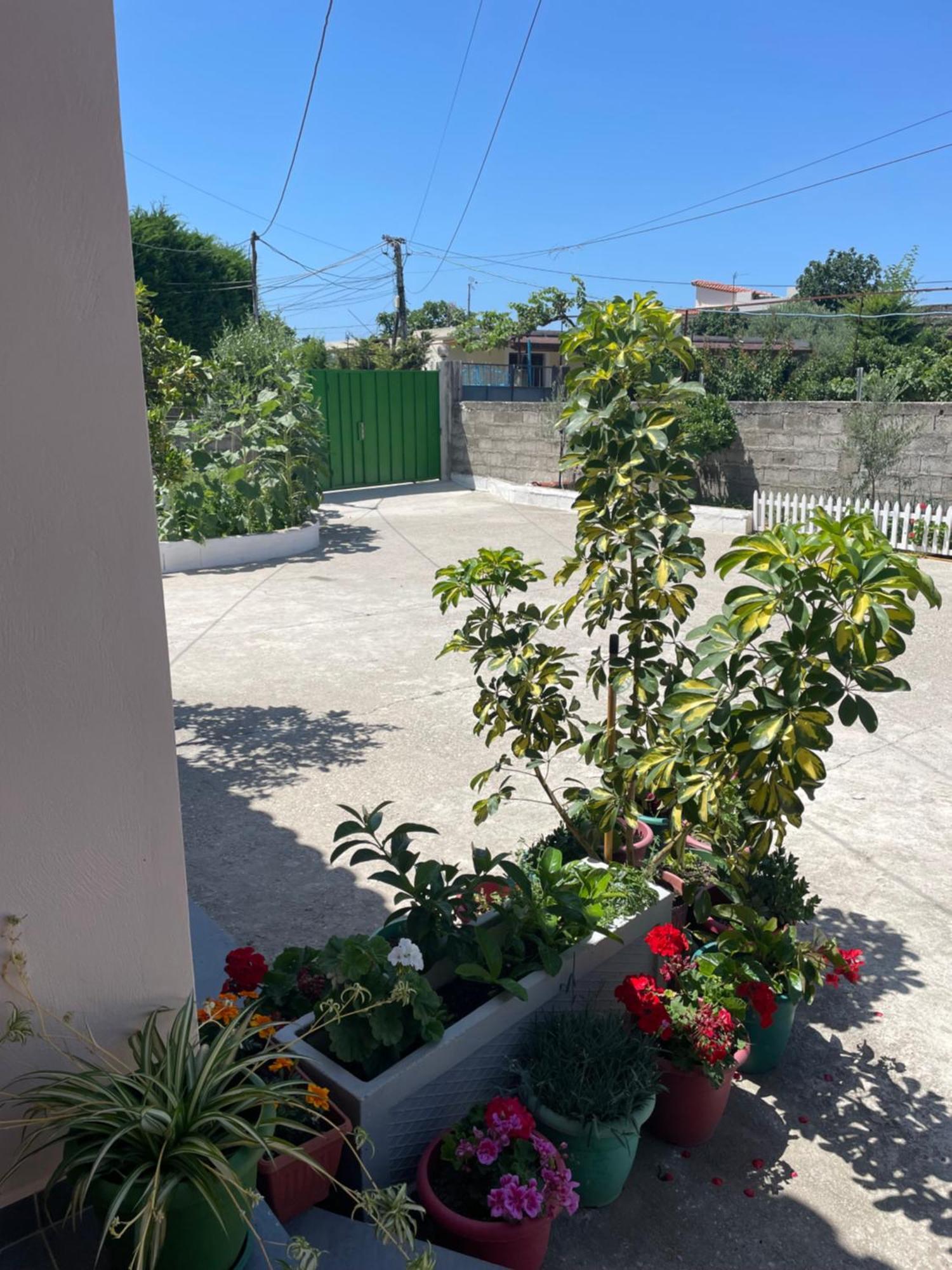 Rental Houses Dukaj Vlorë Esterno foto